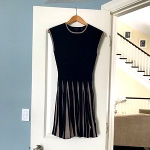 Gorgeous Ted Baker Dress